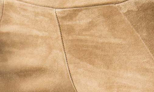 HiWaist Crop Pant